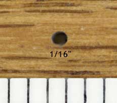 lyctid beetle emergence hole in oak